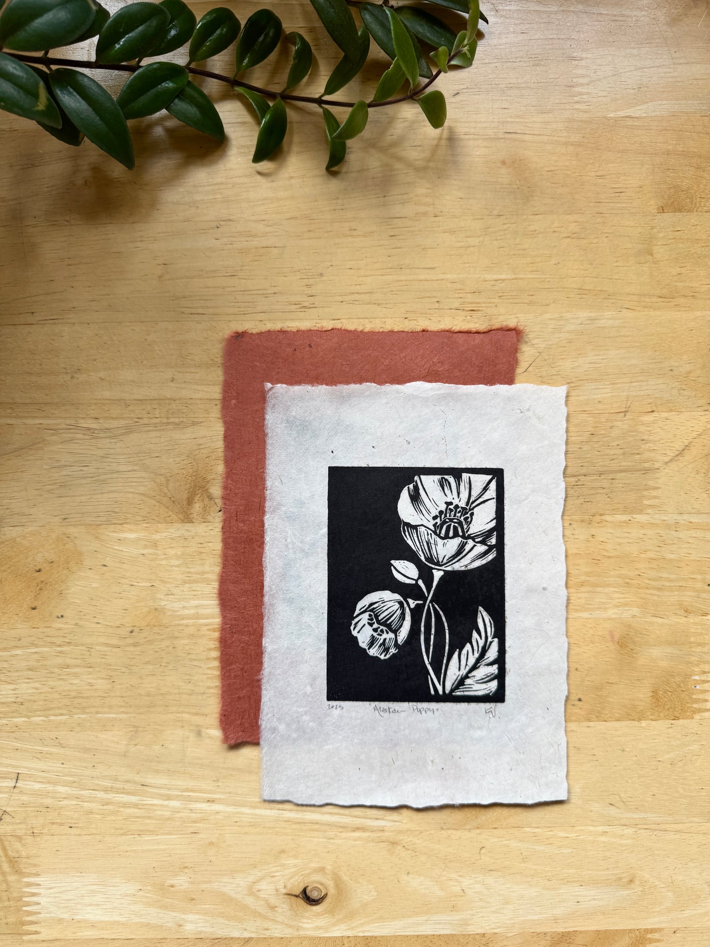 Alaskan Poppy Mini Print
