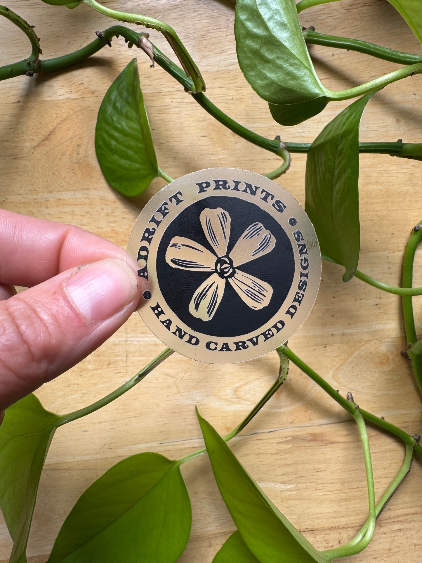 Moss Campion Sticker