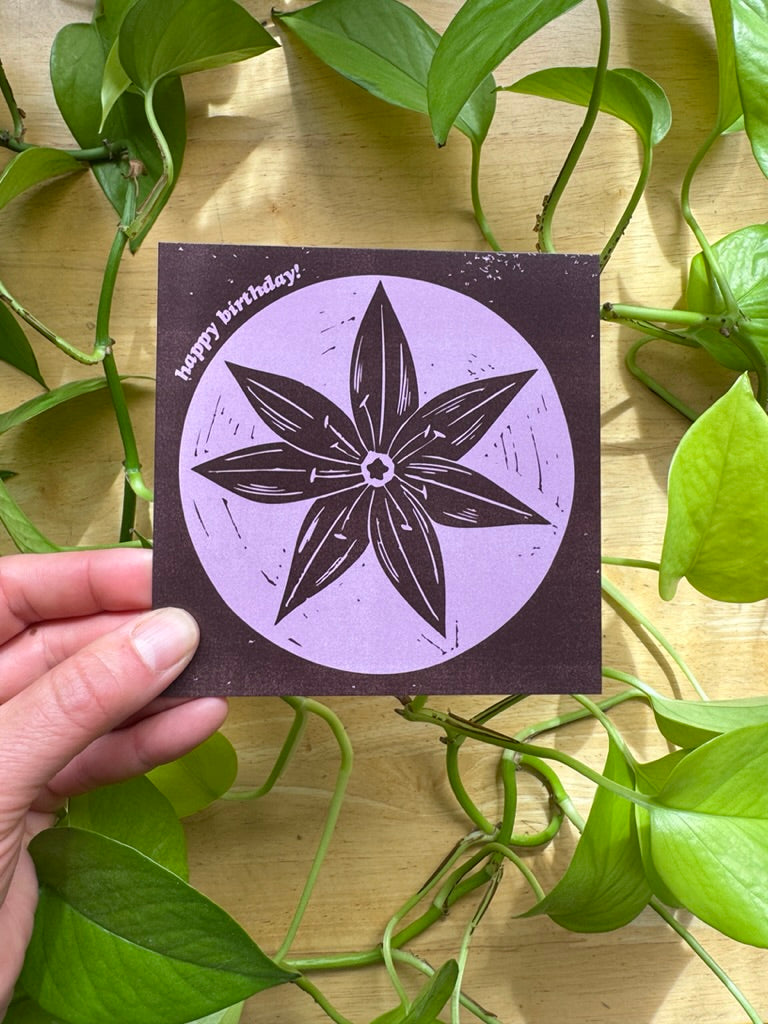 Alaskan Wildflowers Card Pack