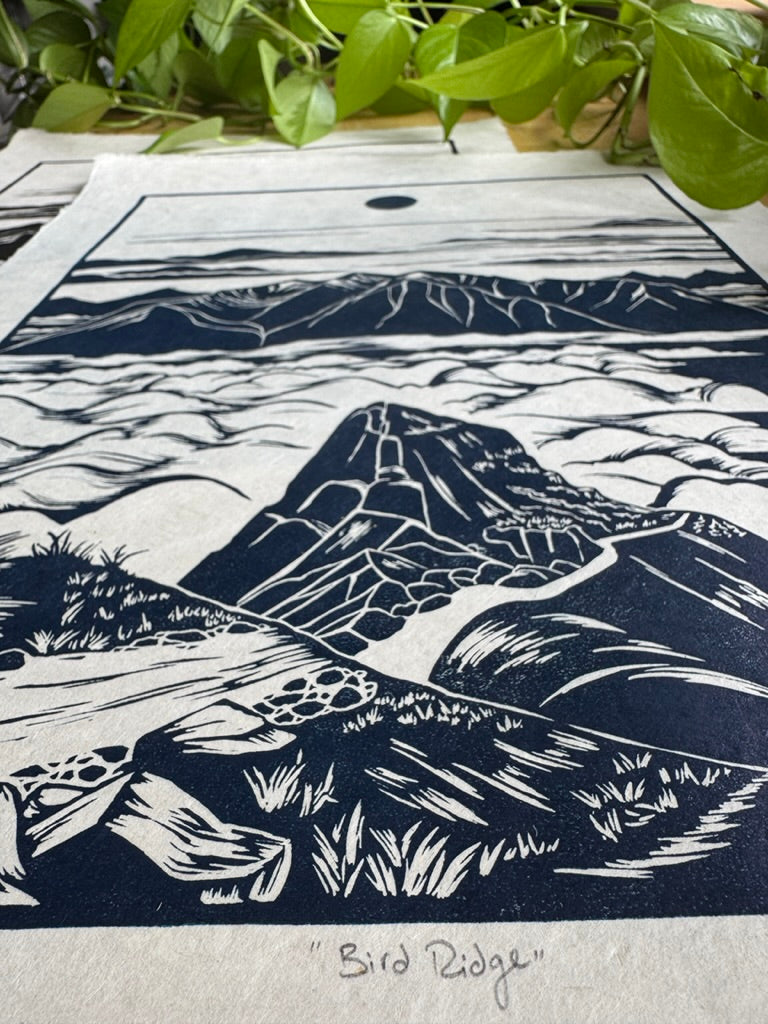 Bird Ridge