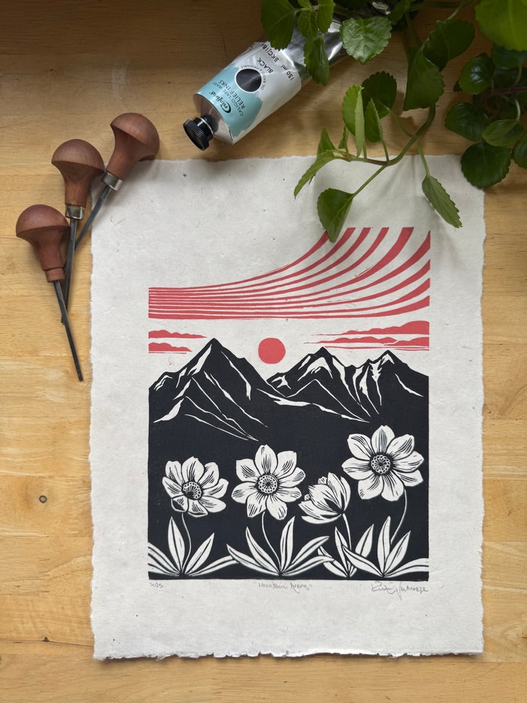 Framed 'Mountain Avens' Print at Alpenglow Coffeehouse