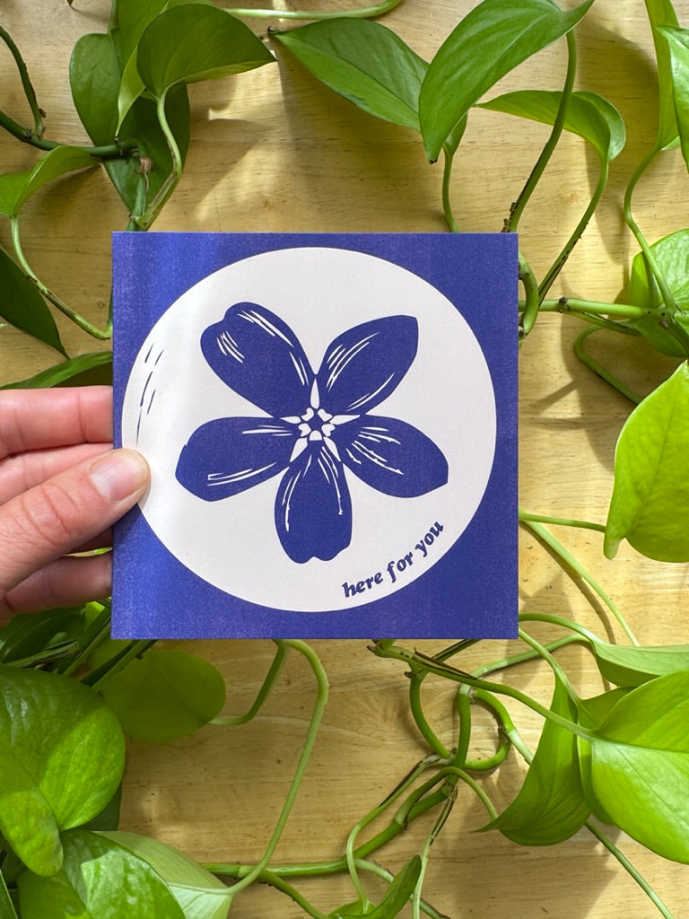 Alaskan Wildflowers Card Pack