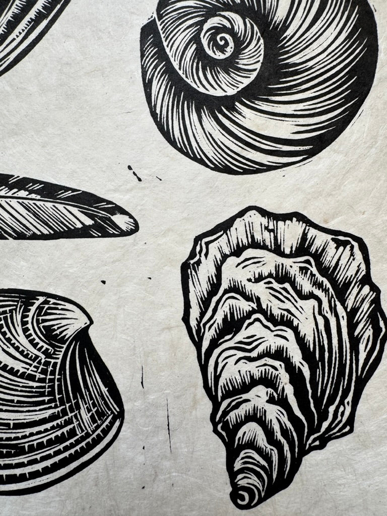 Treasures - tidepool print