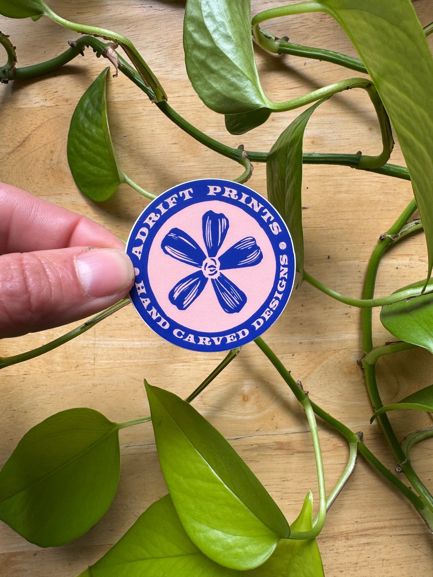 Moss Campion Sticker