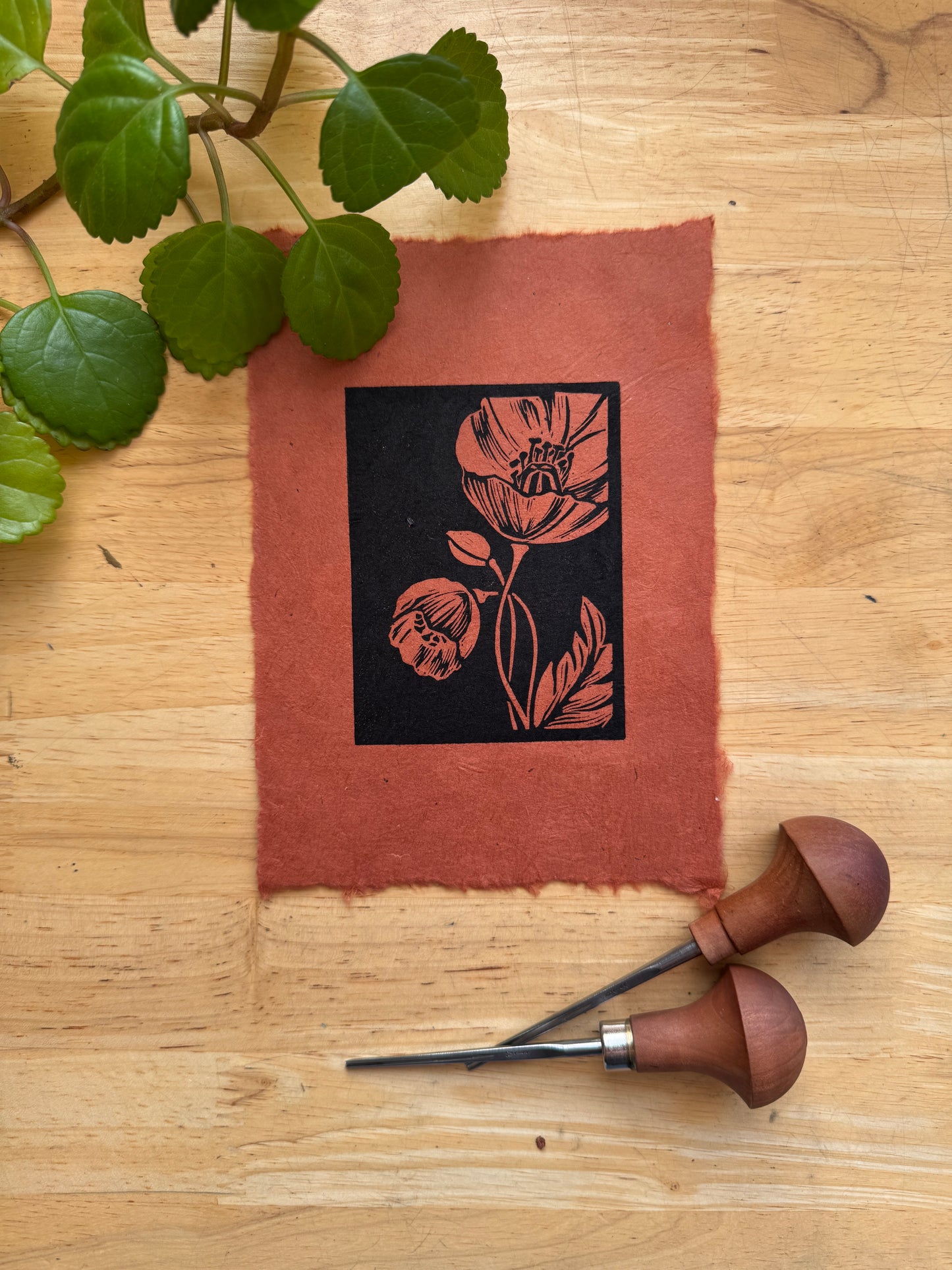 Alaskan Poppy Mini Print