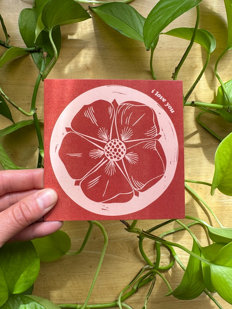 Alaskan Wildflowers Card Pack