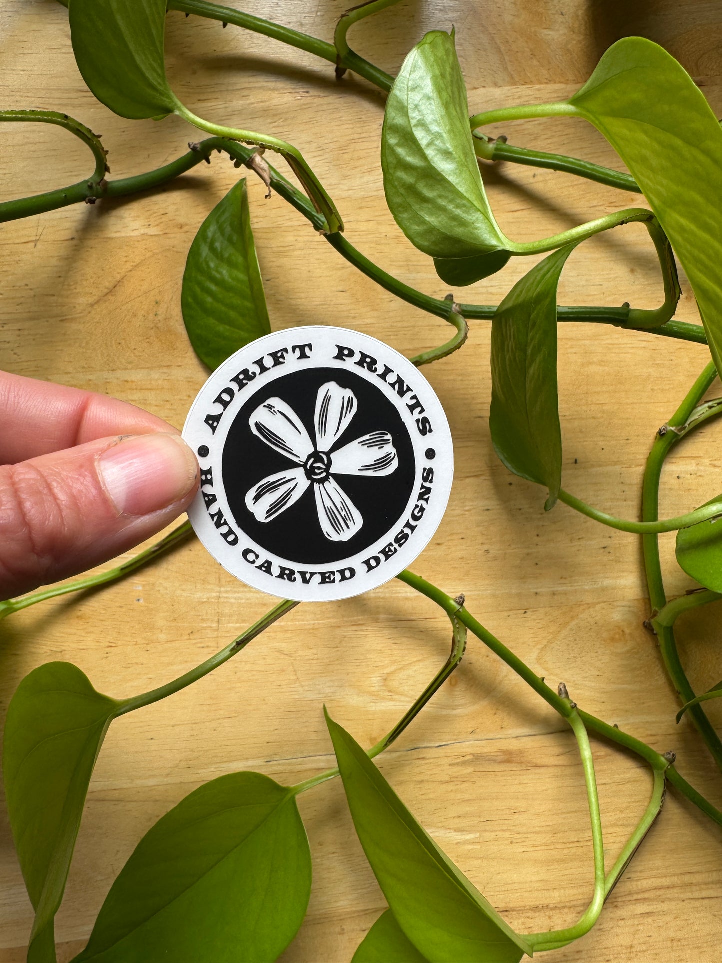 Moss Campion Sticker