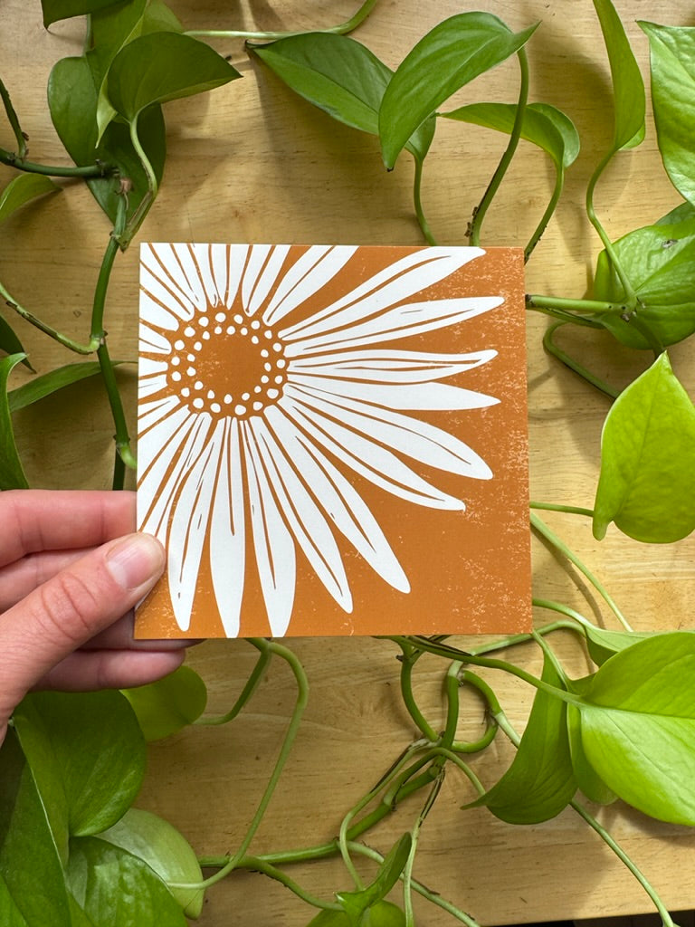 Alaskan Botanicals Greeting Card Pack