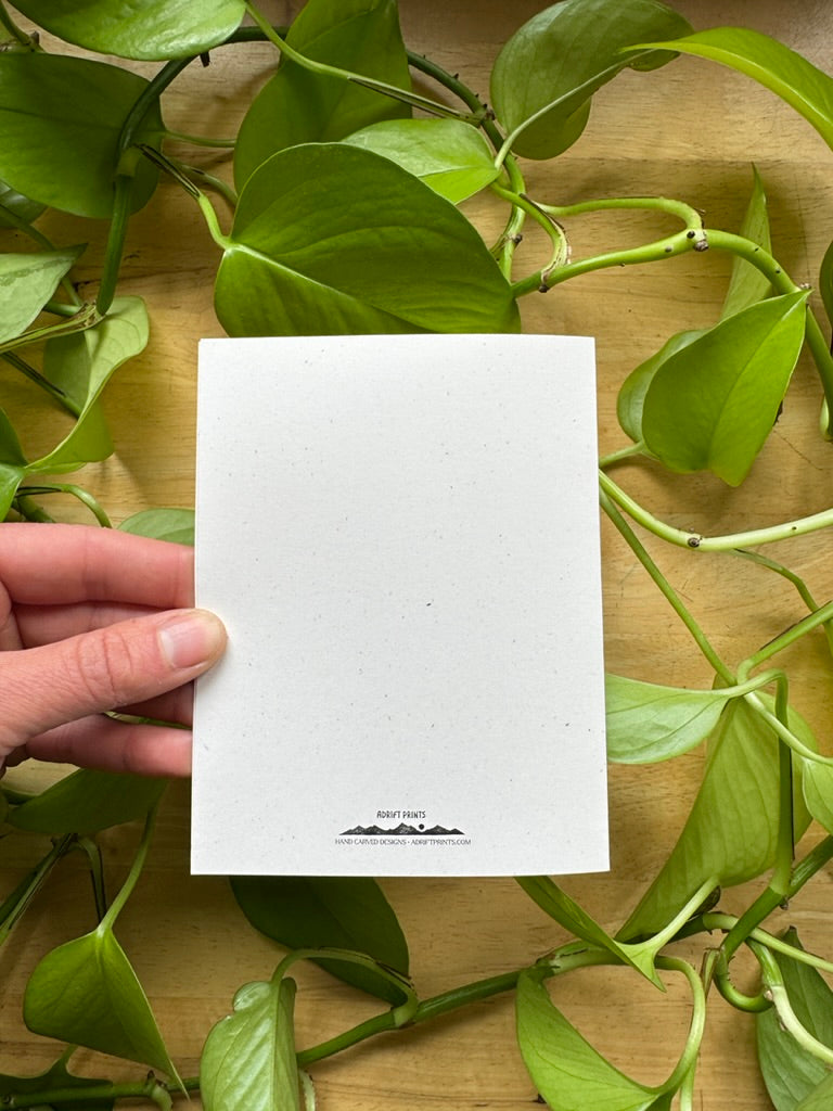 'Congratulations!' Card Pack