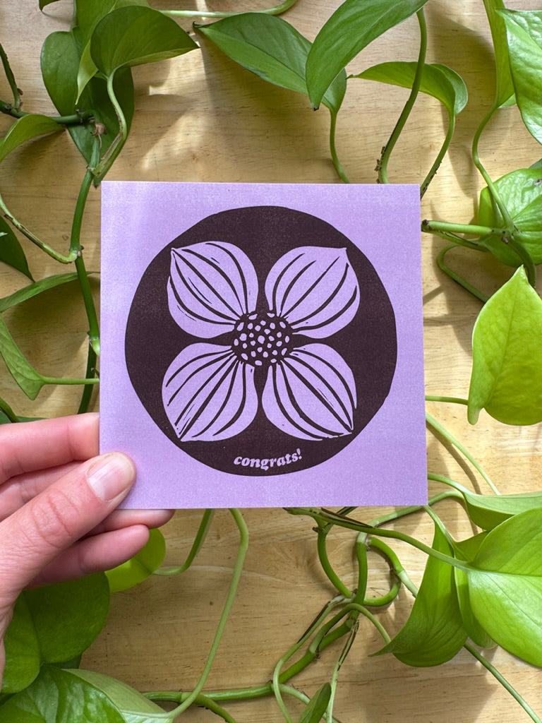 Alaskan Wildflowers Card Pack