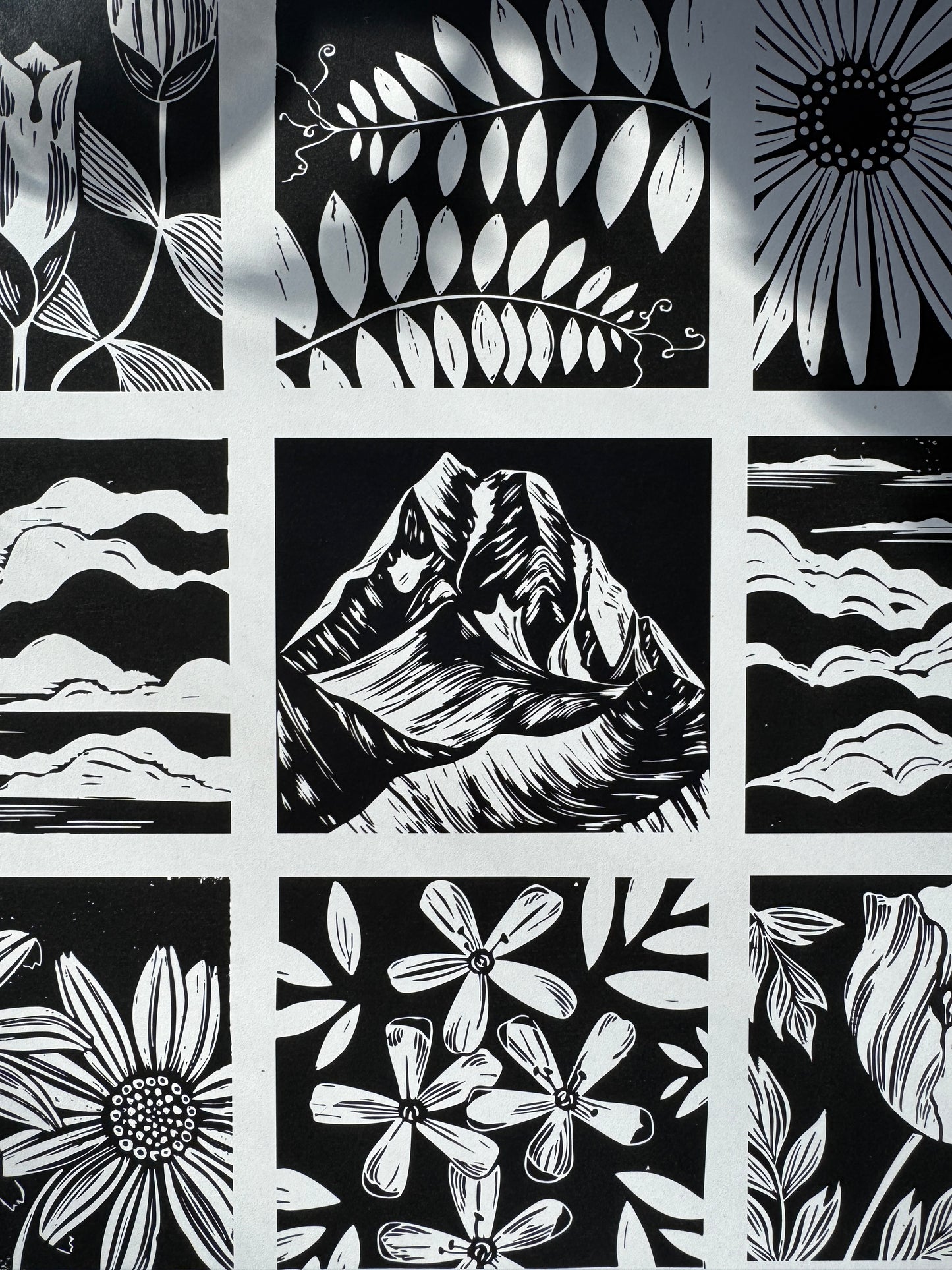 Alpine Flora of Alaska • poster print