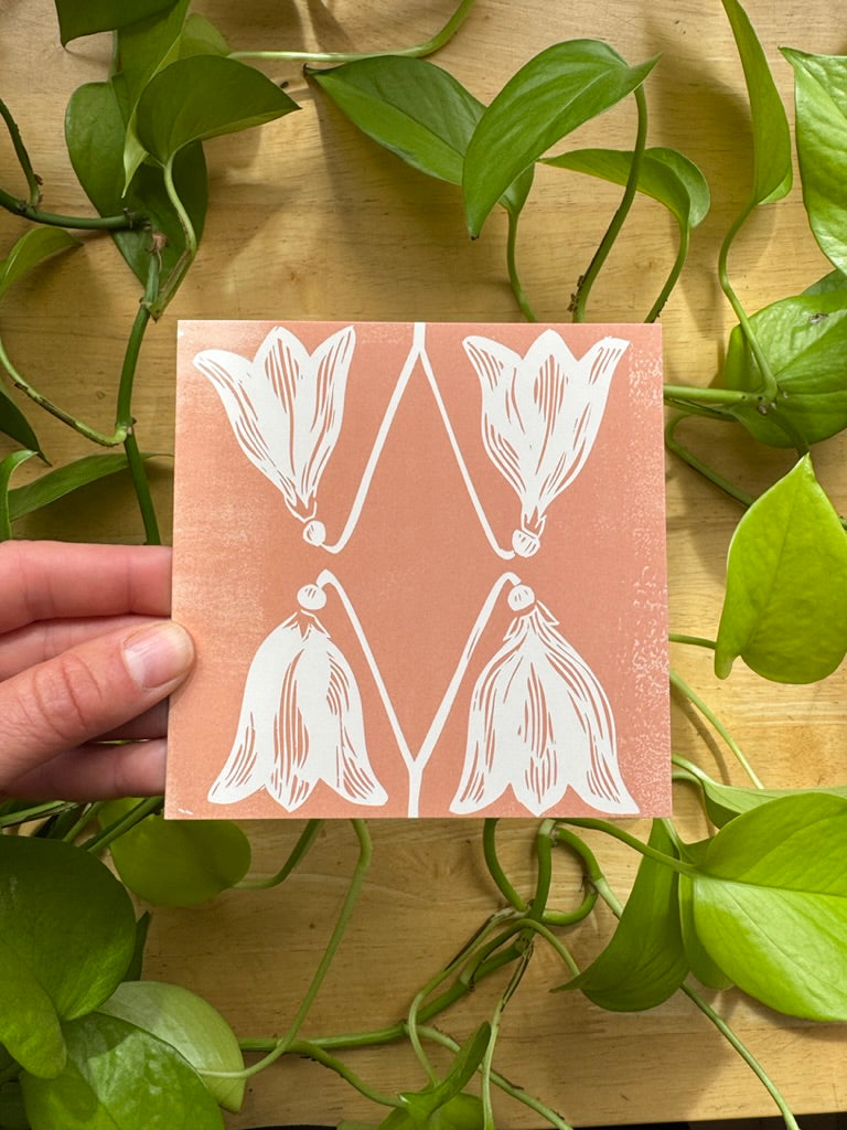 Alaskan Botanicals Greeting Card Pack