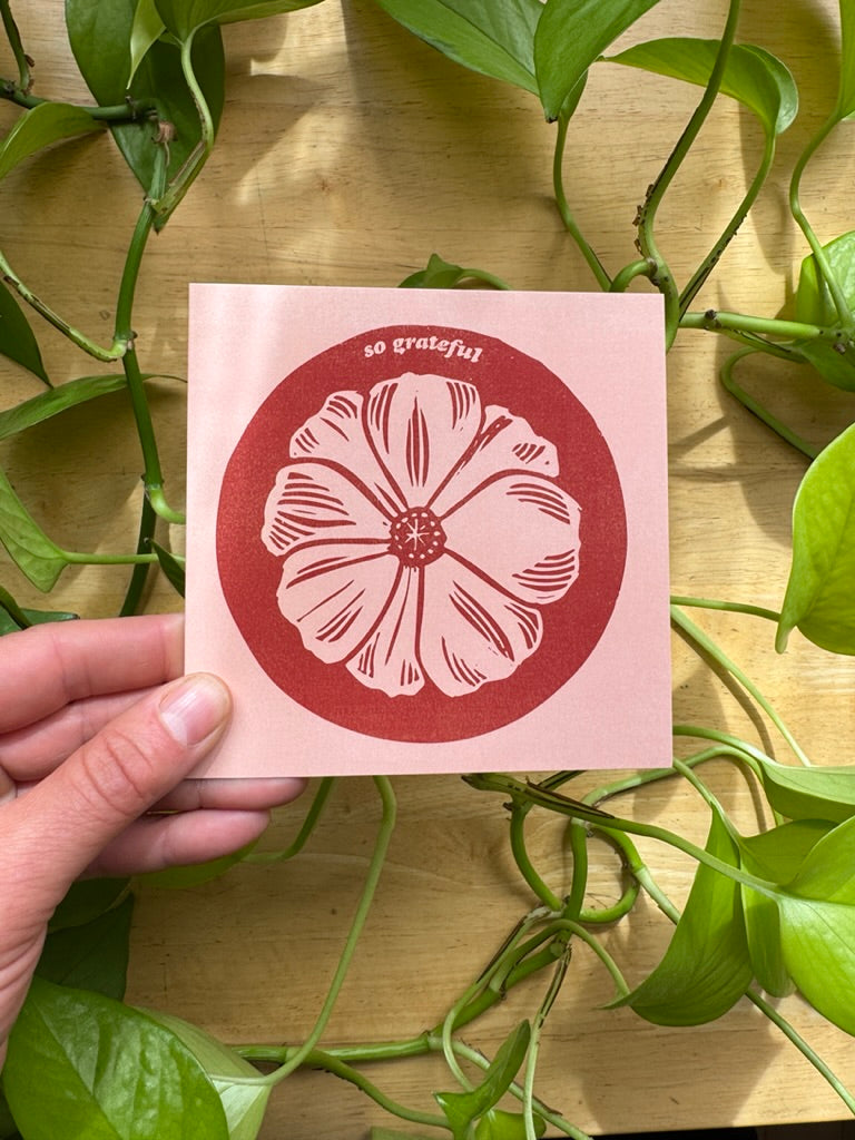 Alaskan Wildflowers Card Pack