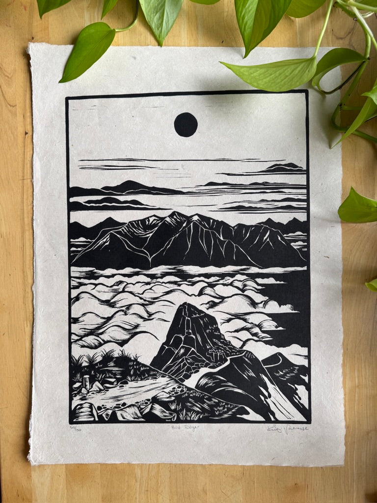 Bird Ridge