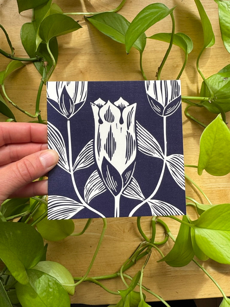 Alaskan Botanicals Greeting Card Pack