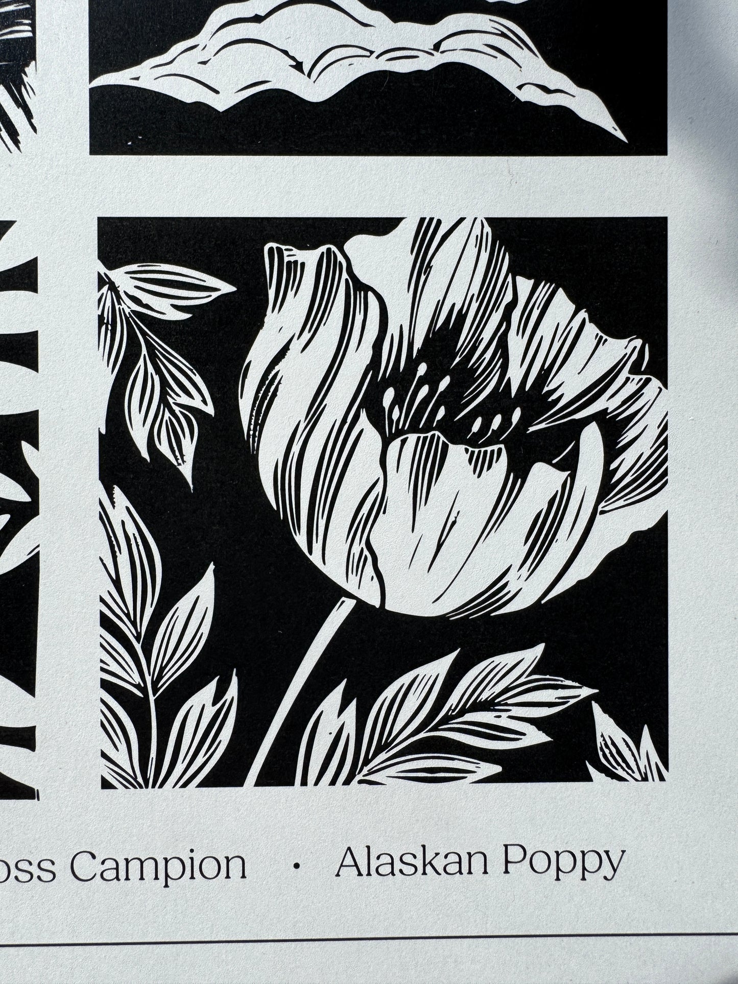 Alpine Flora of Alaska • poster print