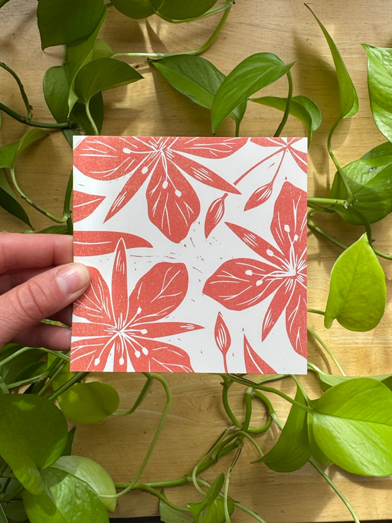 Alaskan Botanicals Greeting Card Pack