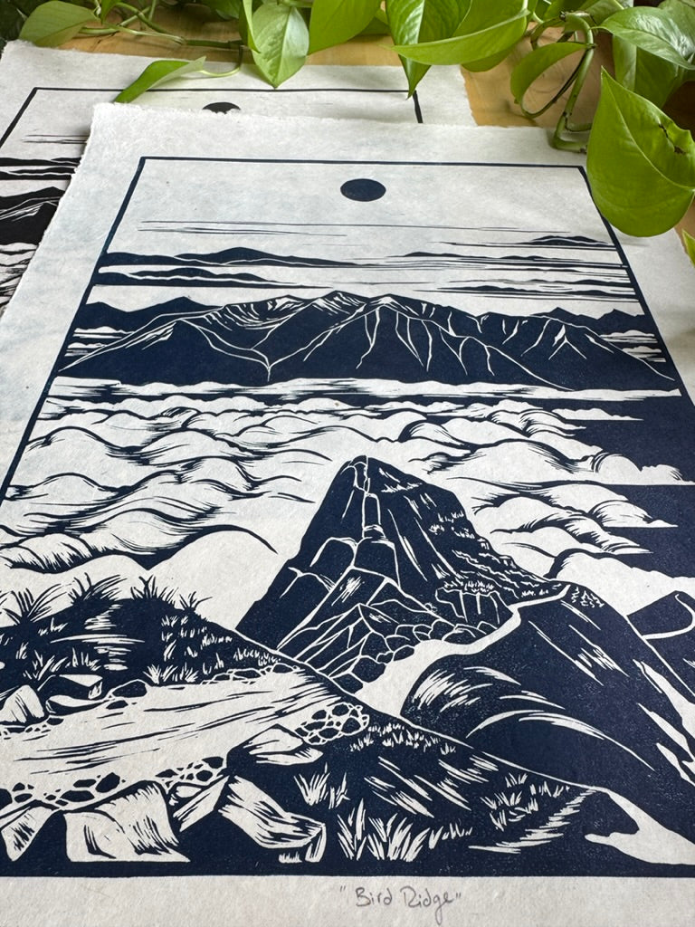 Bird Ridge