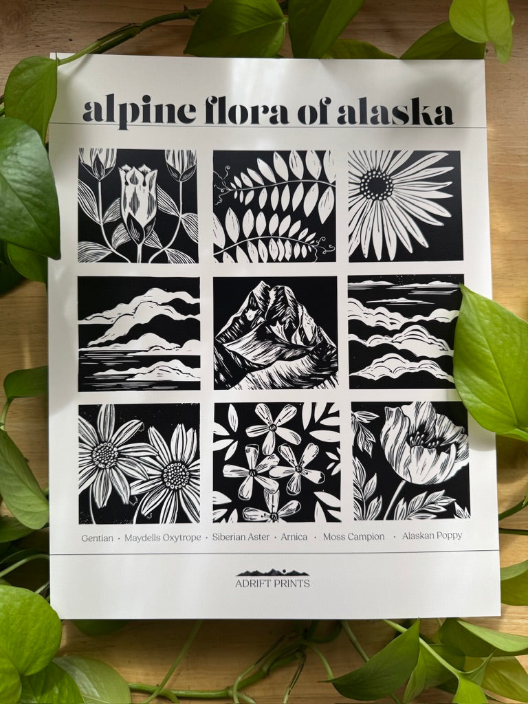 Alpine Flora of Alaska • poster print