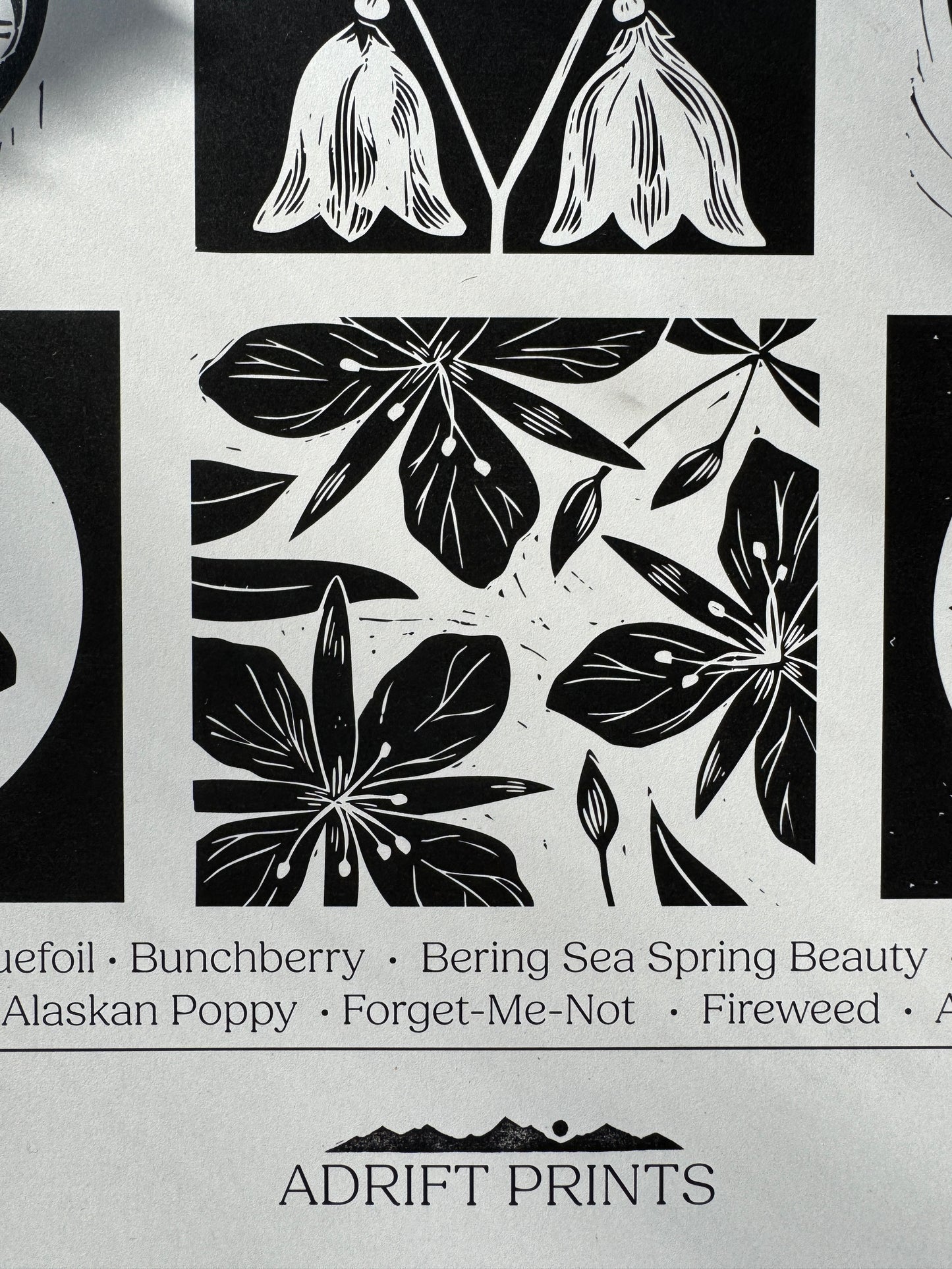 Wildflowers of Alaska • poster print