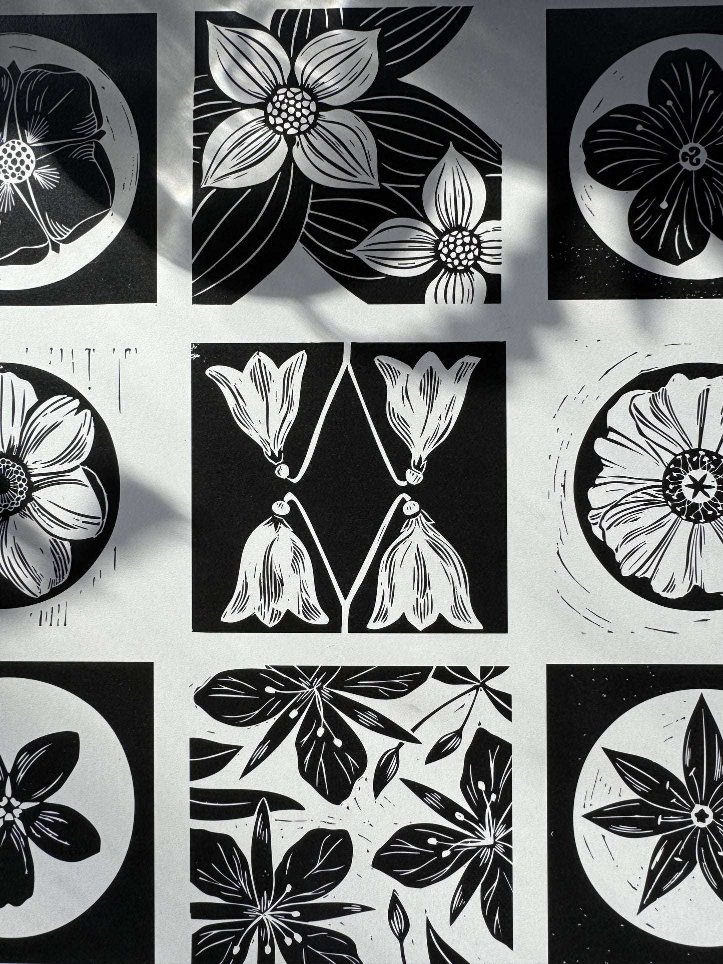 Wildflowers of Alaska • poster print