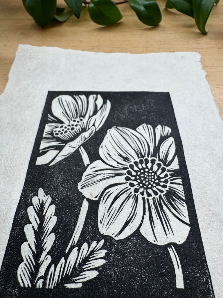 Mountain Avens Mini Print