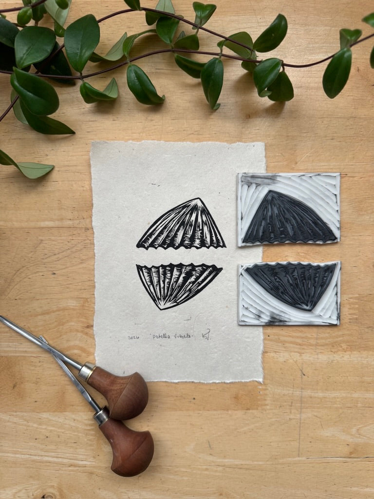 Limpets Mini Print