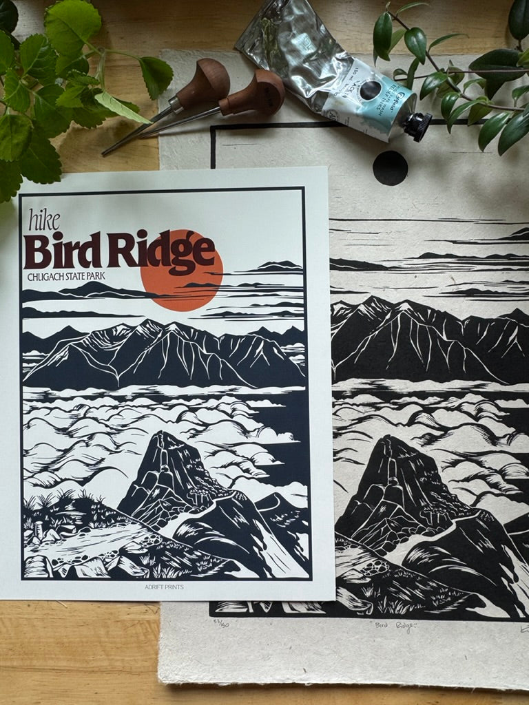 Bird Ridge • travel poster