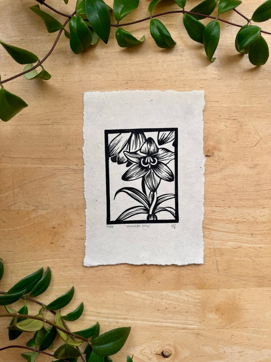 Chocolate Lily Mini Print