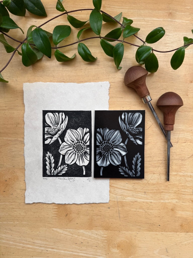 Mountain Avens Mini Print