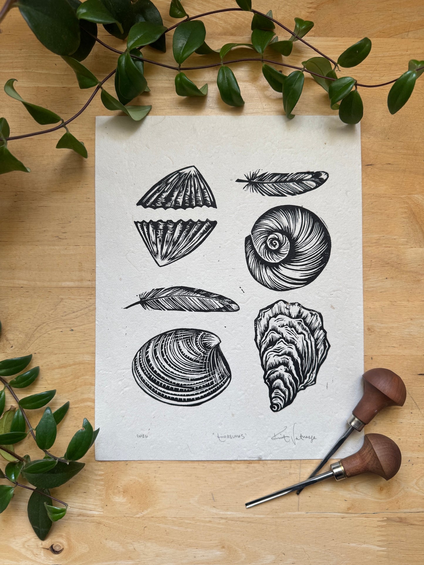 Treasures - tidepool print