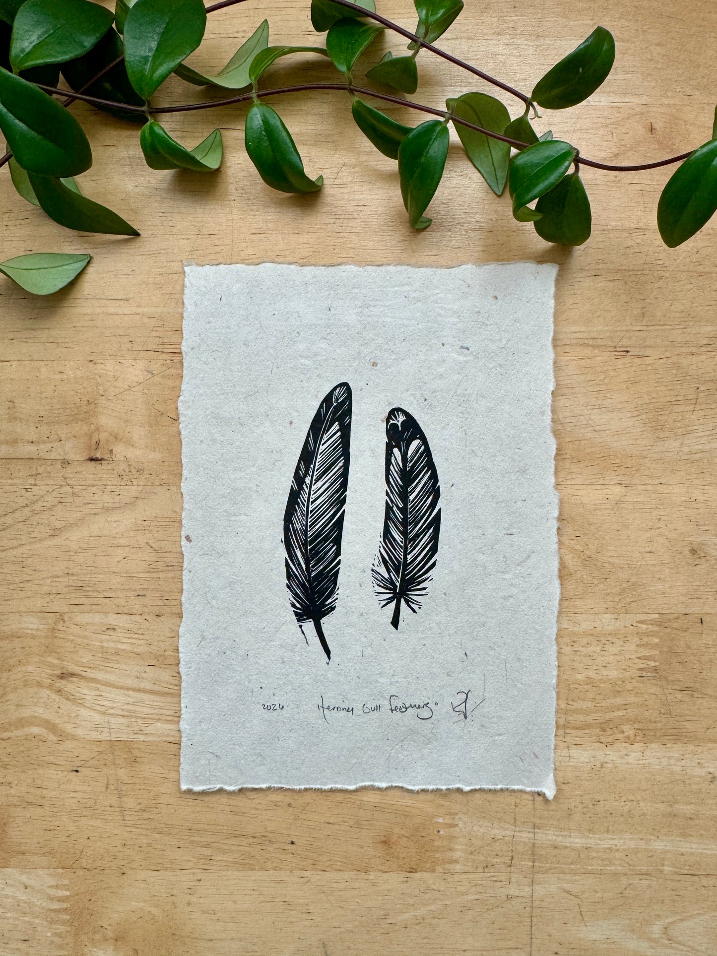 Herring Gull Feathers Mini Print