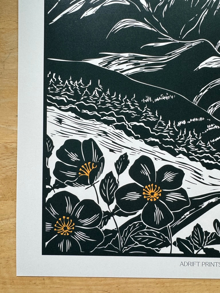 Johnson Pass • travel poster