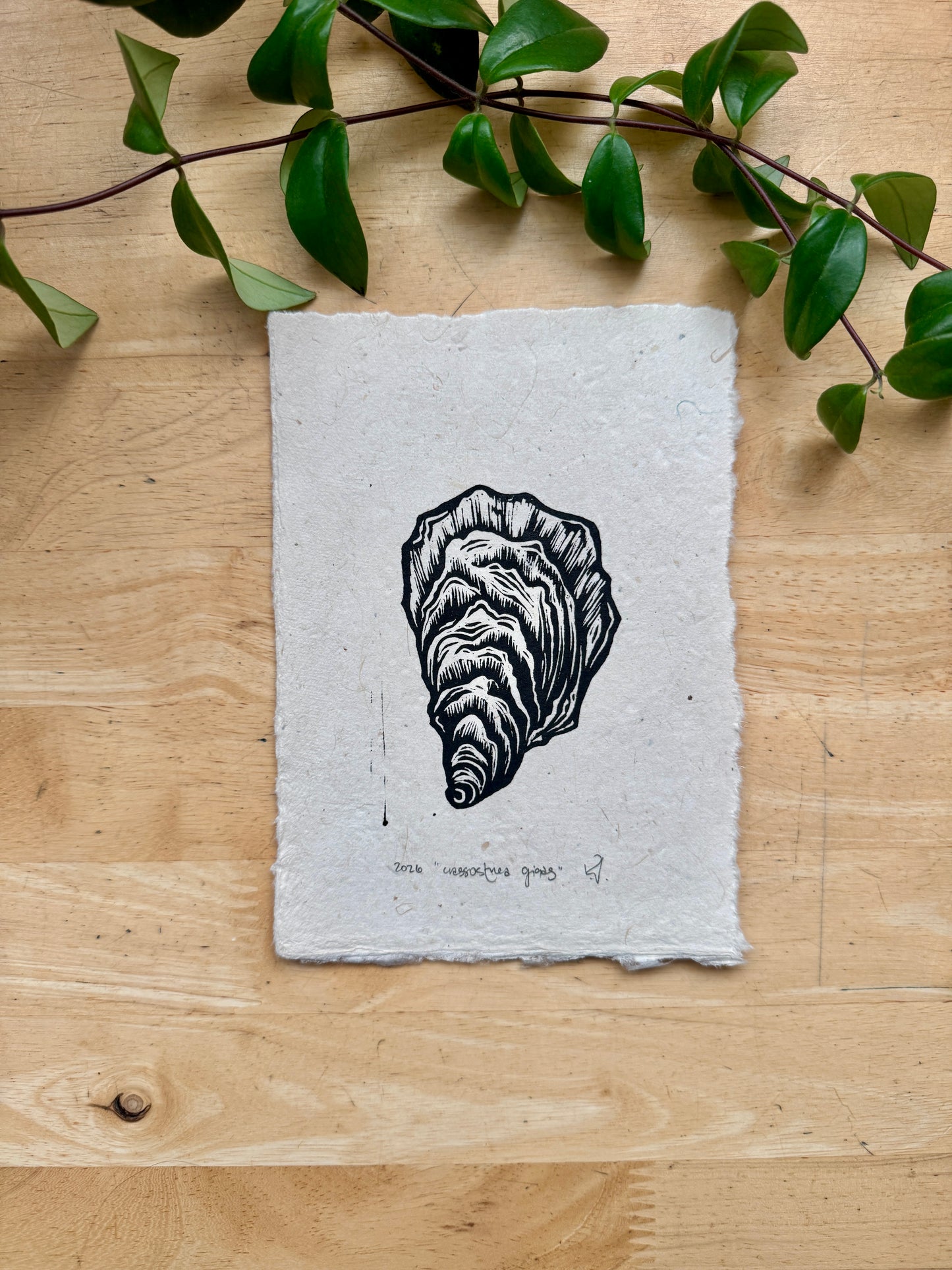Pacific Oyster Mini Print