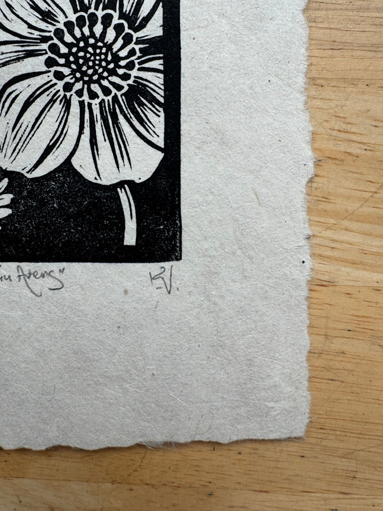 Mountain Avens Mini Print