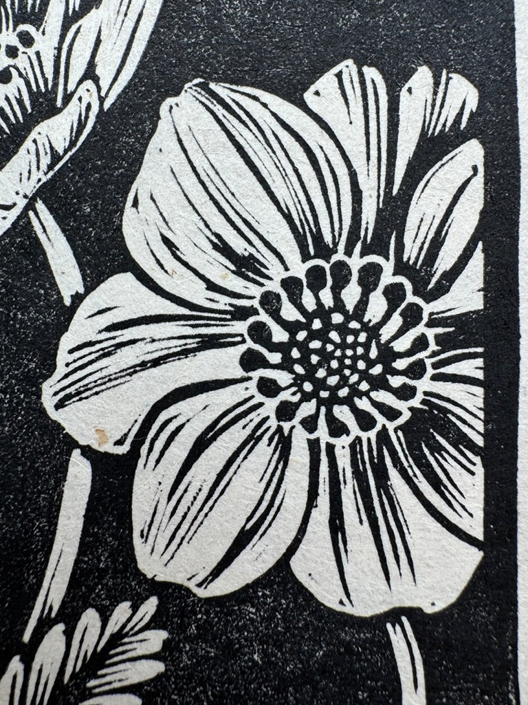 Mountain Avens Mini Print