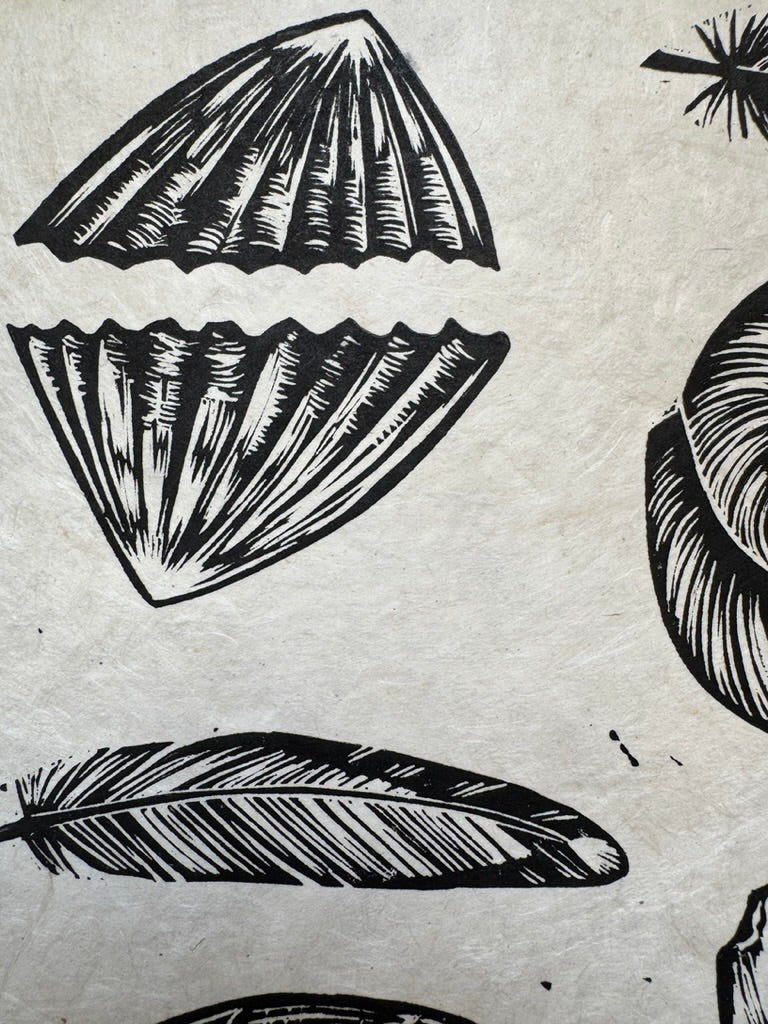 Treasures - tidepool print