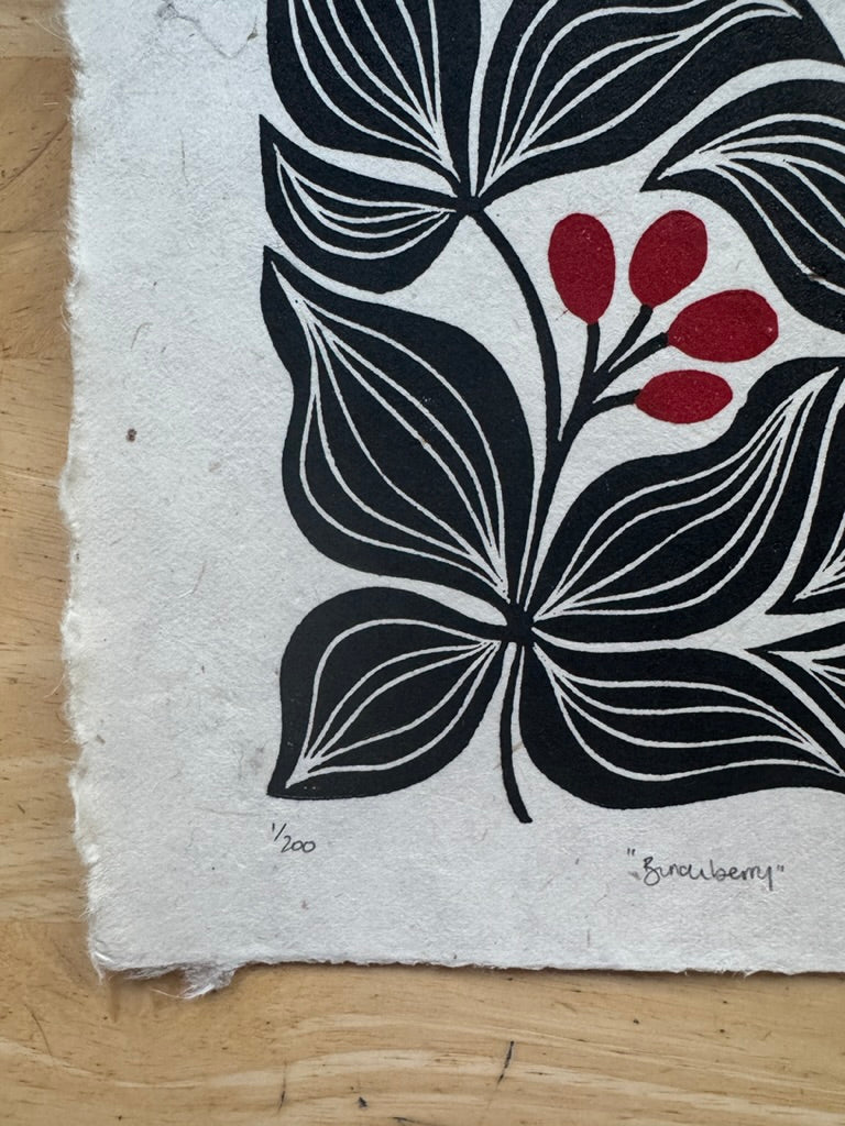 Bunchberry Print