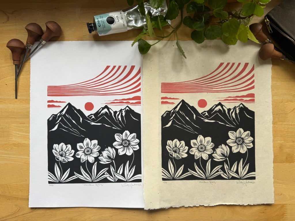 Mountain Avens