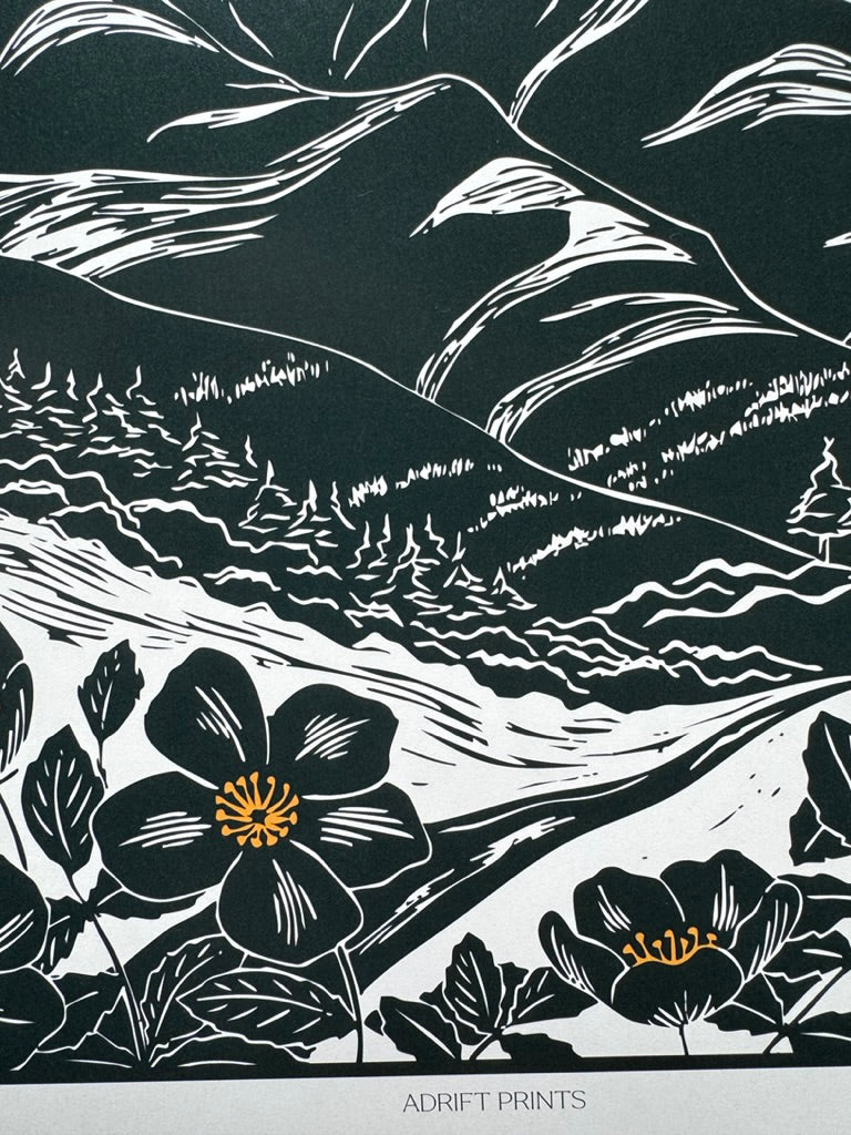 Johnson Pass • travel poster