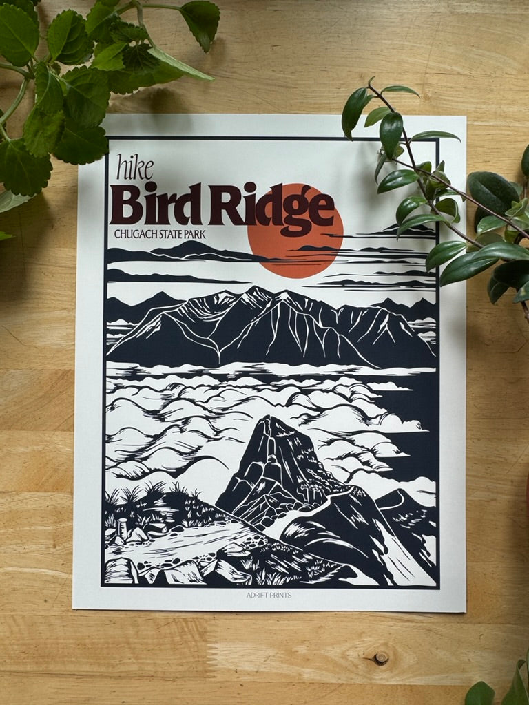 Bird Ridge • travel poster