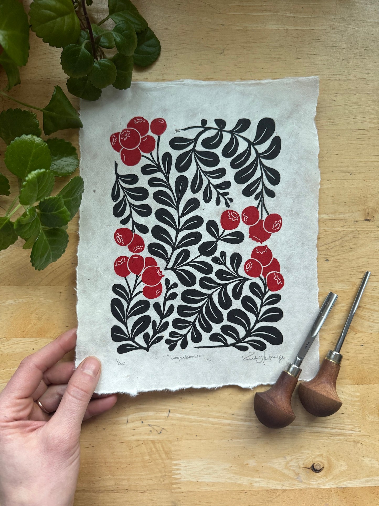 Lingonberry Print