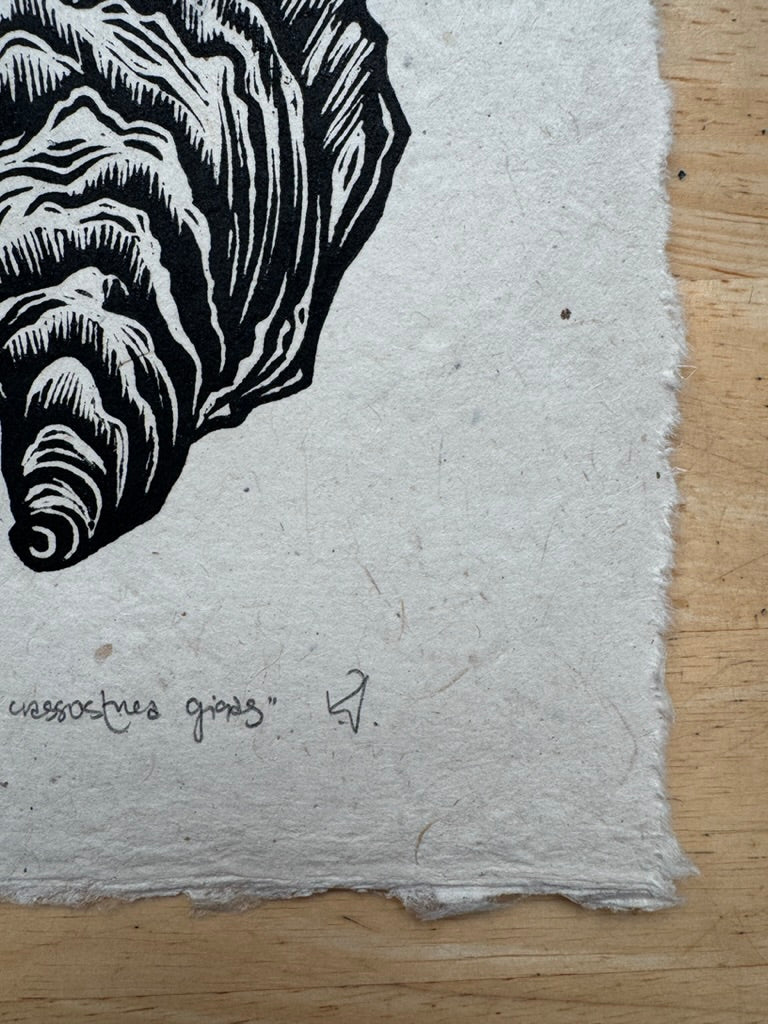 Pacific Oyster Mini Print