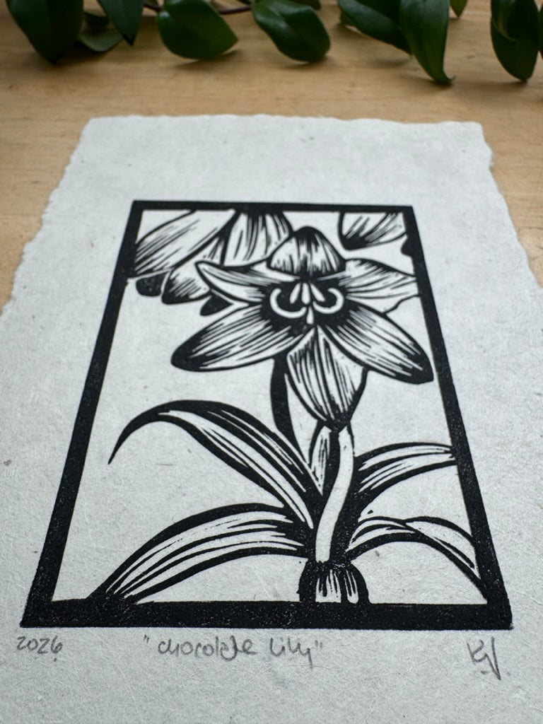 Chocolate Lily Mini Print