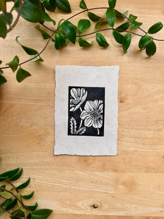 Mountain Avens Mini Print