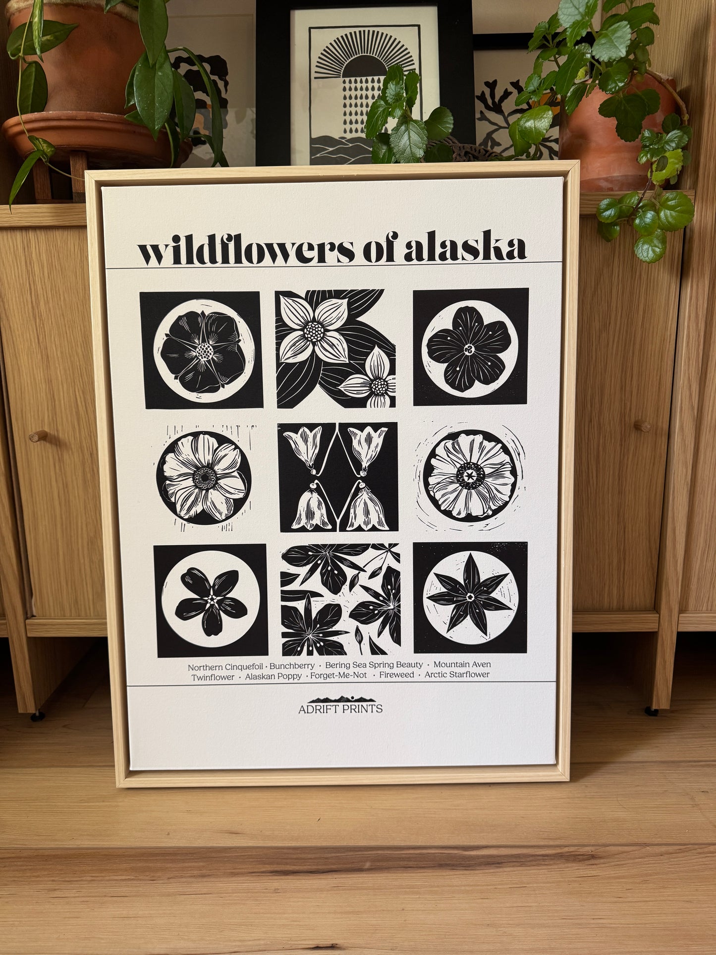 Framed Canvas 'Wildflowers of AK' Print at SteamDot