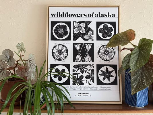 Framed Canvas 'Wildflowers of AK' Print at Alpenglow Coffeehouse