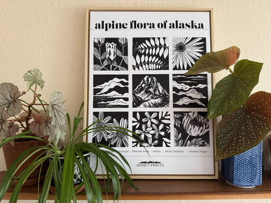 Framed Canvas 'Alpine Flora of AK' Print at Alpenglow Coffeehouse