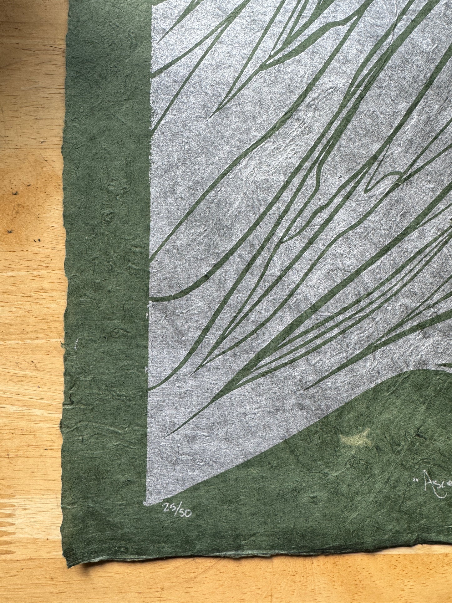 'Ascent'  test print- SALE 50% off
