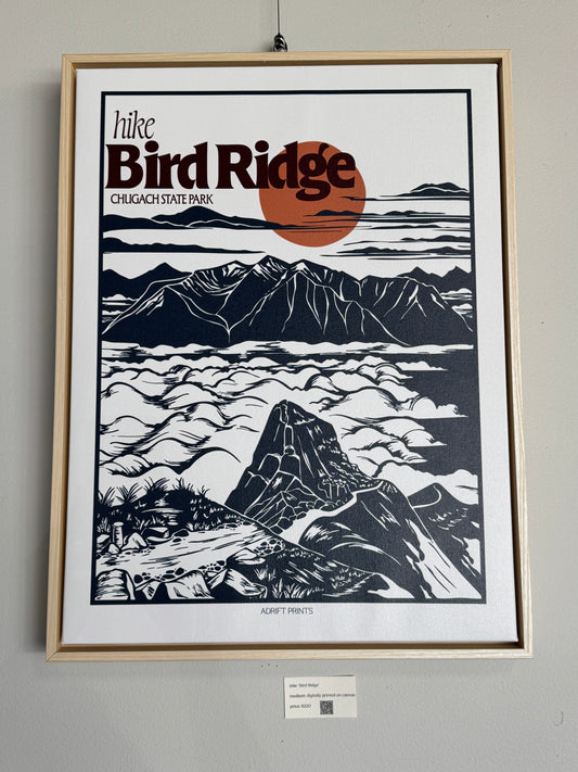 Framed Canvas 'Bird Ridge' Print at SteamDot